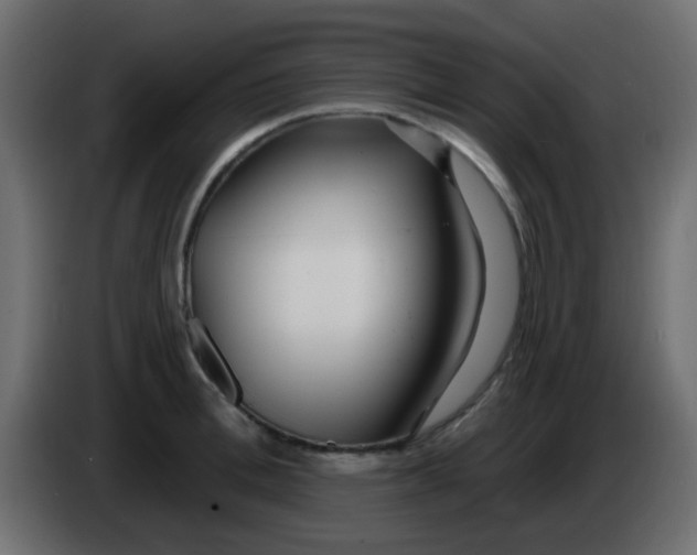 X0000086070996200704132036