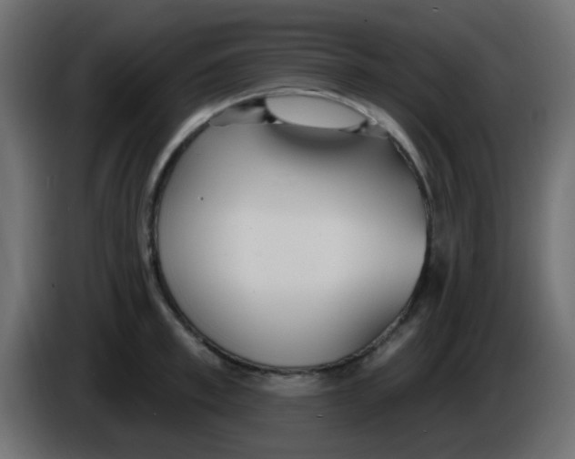 X0000086070997200704132036