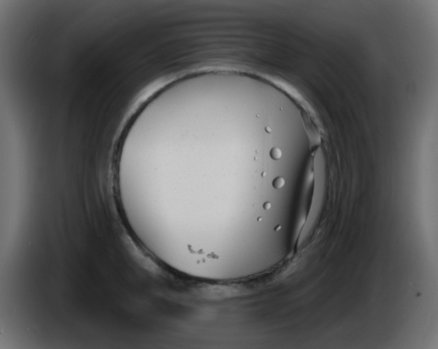 X0000086070998200704132036