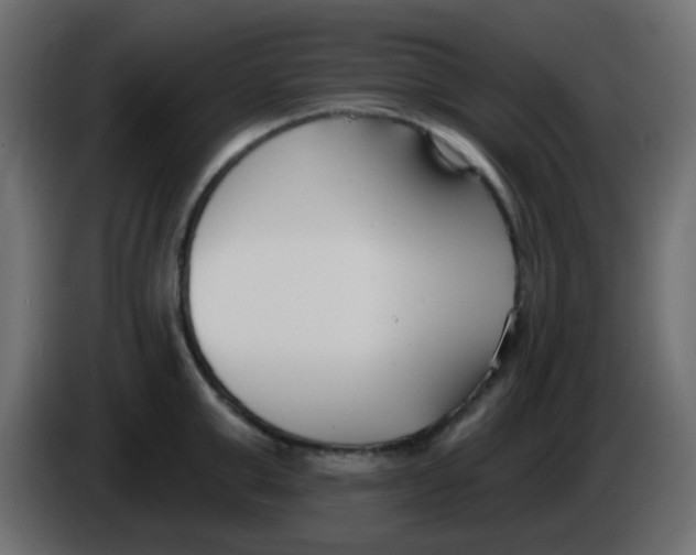 X0000086070999200704132036