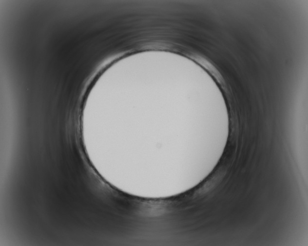 X0000086071000200704132036