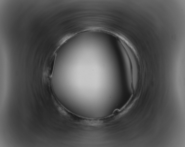 X0000086071001200704132036