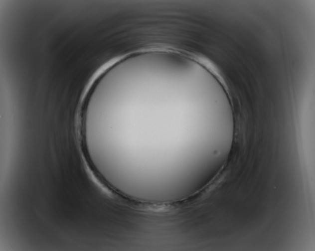X0000086071003200704132036