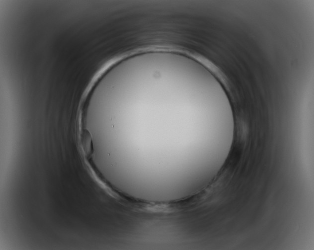 X0000086071006200704132036