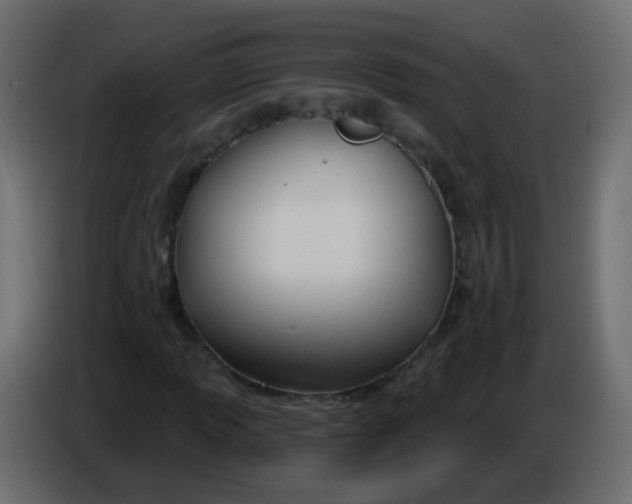 X0000086071013200704132035