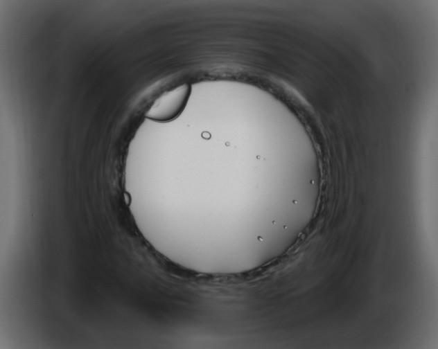 X0000086071016200704132035