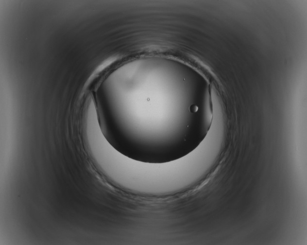 X0000086071018200704132035