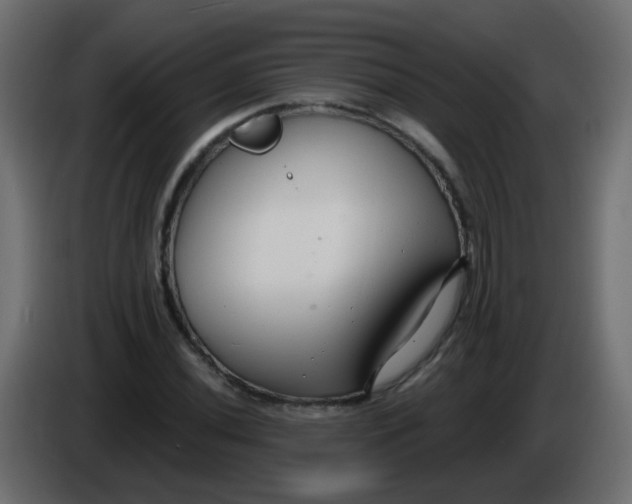 X0000086071020200704132035