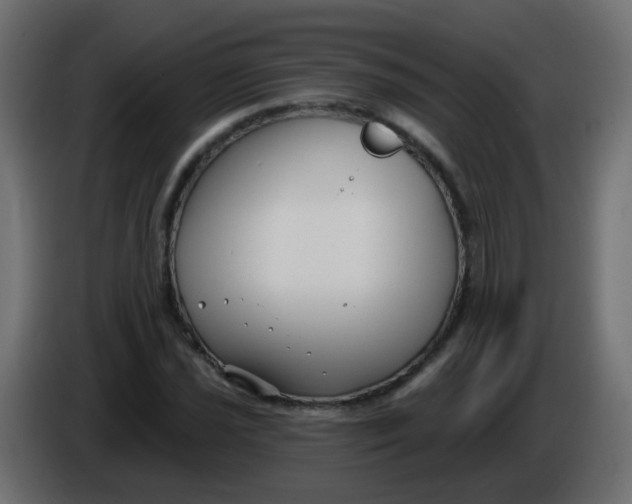 X0000086071021200704132035