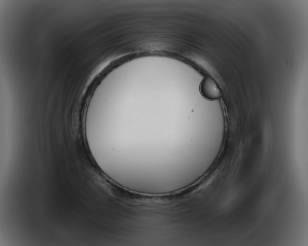X0000086071023200704132035