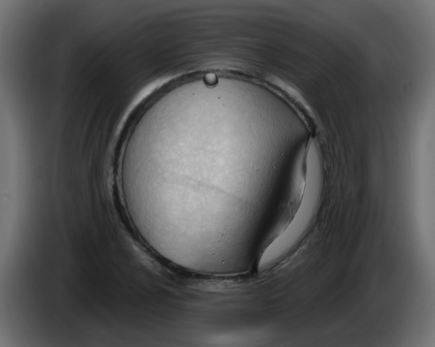 X0000086071024200704132036