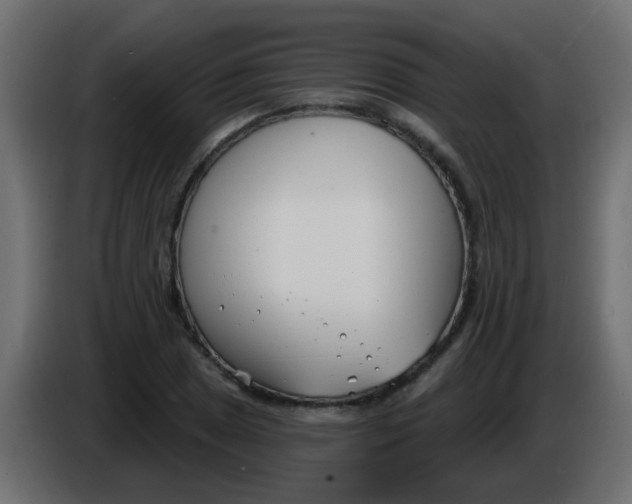 X0000086071025200704132036