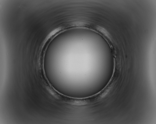 X0000086071026200704132036
