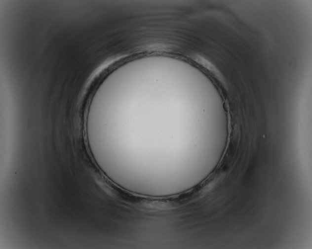 X0000086071027200704132036