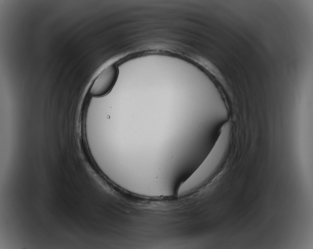 X0000086071028200704132036