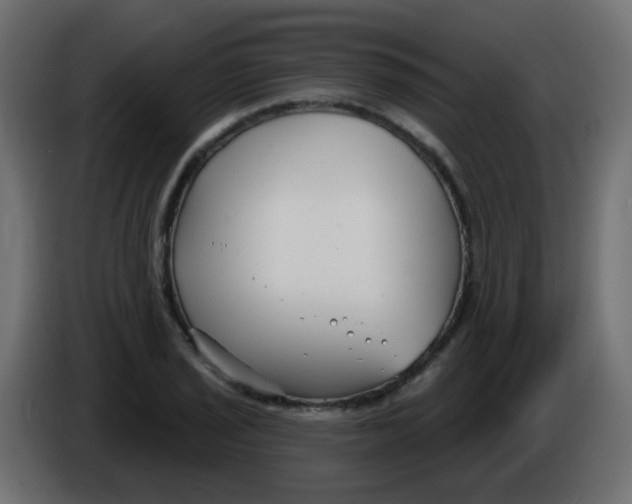 X0000086071029200704132036