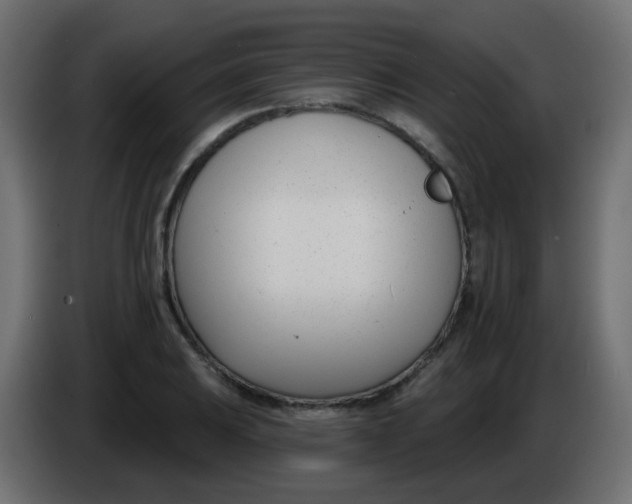 X0000086071031200704132036