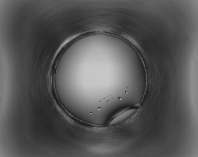 X0000086071032200704132036