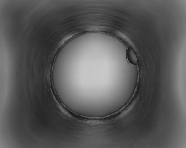 X0000086071033200704132036