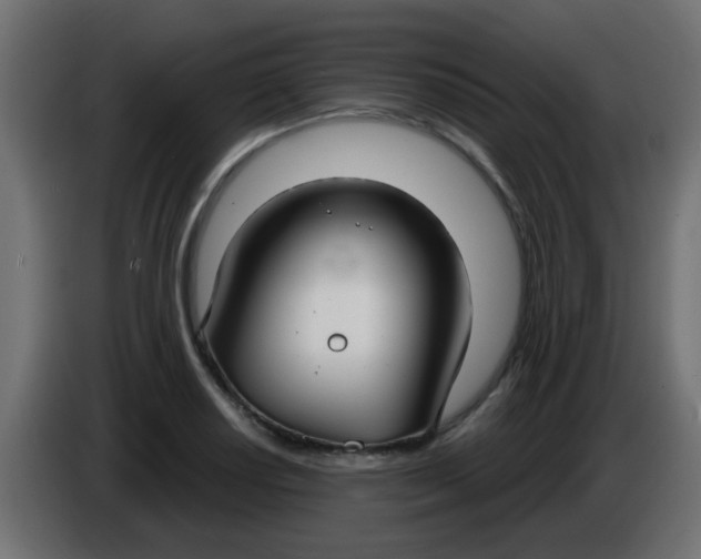 X0000086071034200704132036