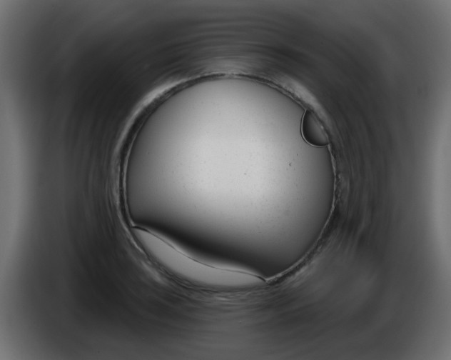 X0000086071035200704132036