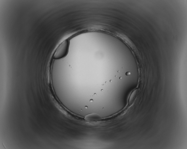 X0000086071036200704132036