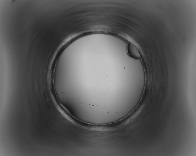 X0000086071037200704132036