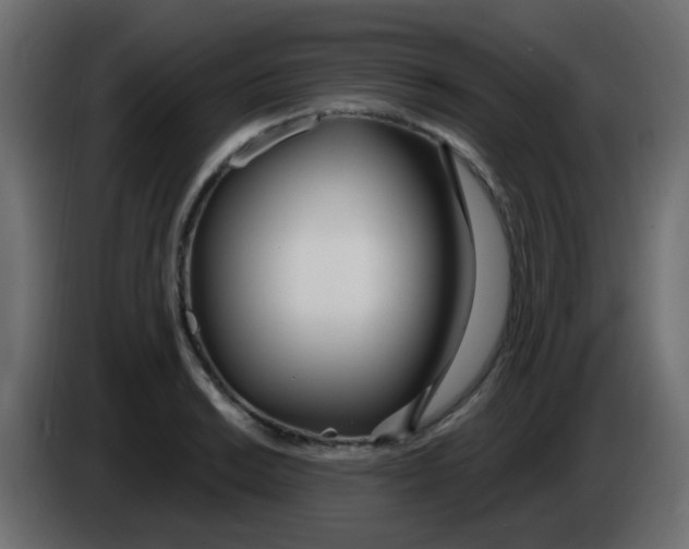 X0000086071038200704132036