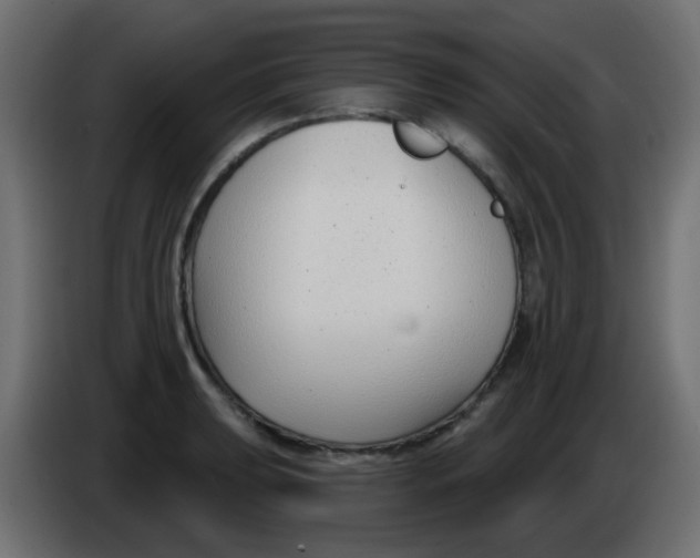 X0000086071039200704132036