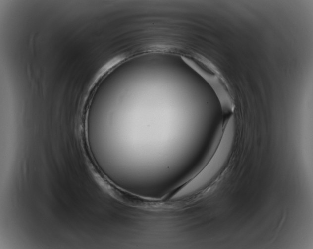 X0000086071042200704132036