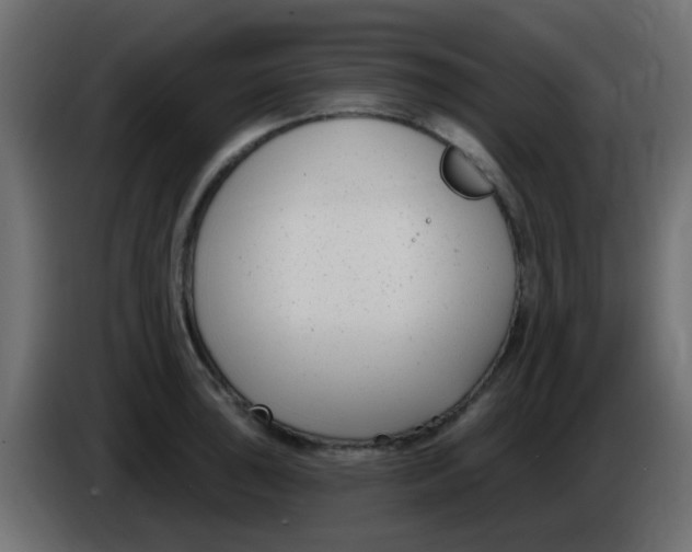 X0000086071043200704132036