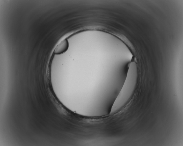 X0000086071044200704132036