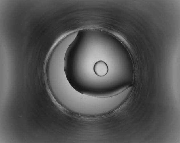 X0000086071046200704132036