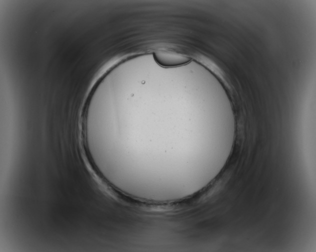 X0000086071047200704132036