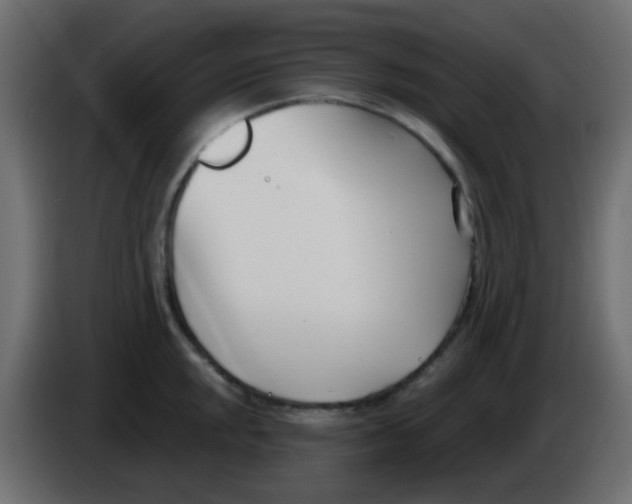 X0000086071048200704132036