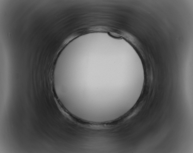 X0000086071049200704132036