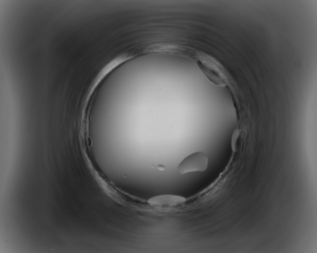 X0000086071050200704132036