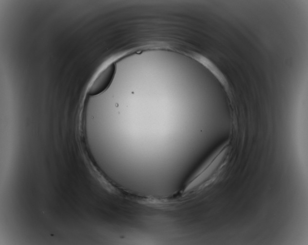 X0000086071052200704132036