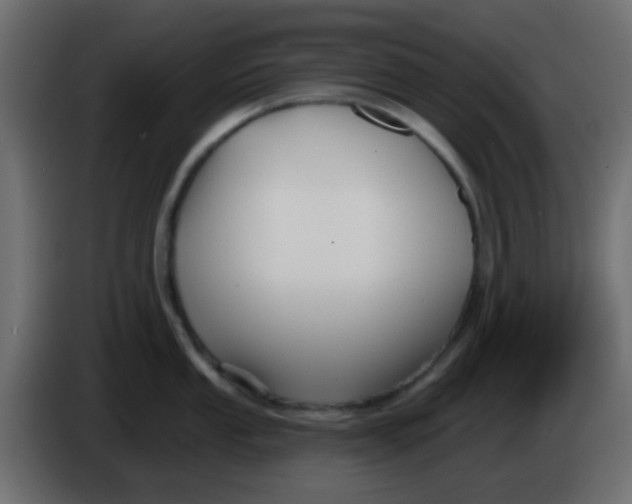 X0000086071053200704132036