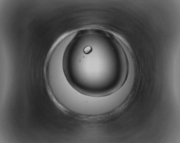 X0000086071054200704132036