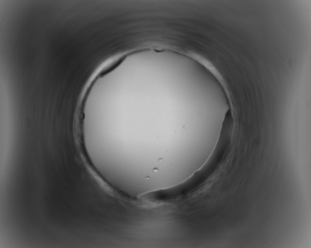 X0000086071056200704132036
