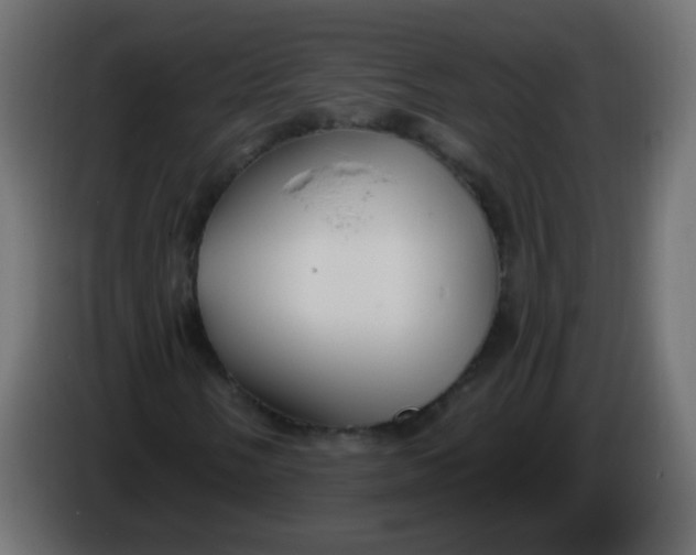 X0000086071058200704132035