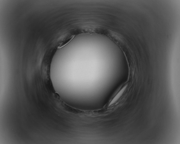 X0000086071060200704132035
