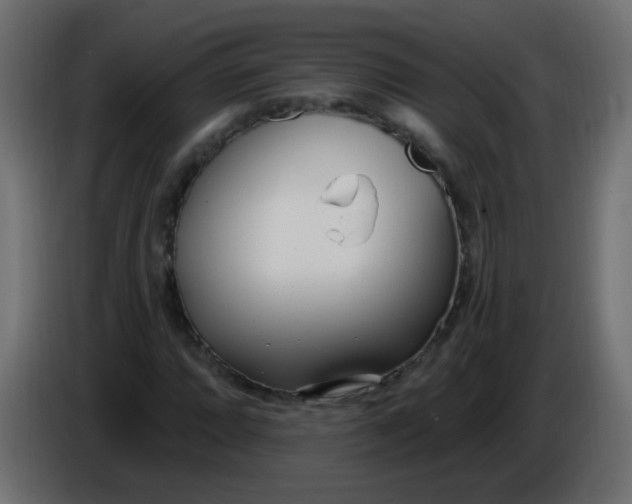 X0000086071064200704132035