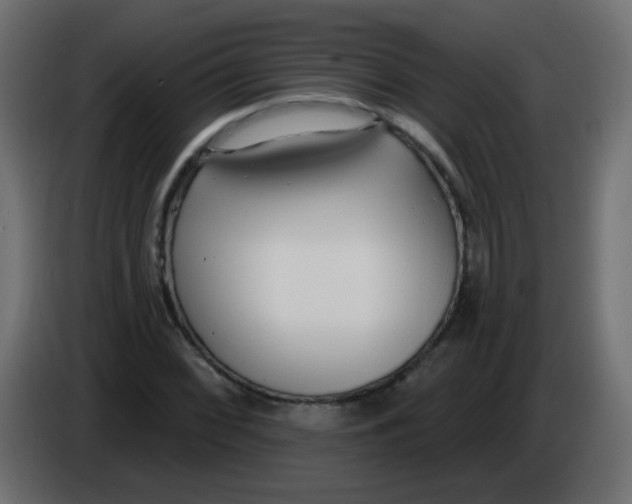 X0000086071068200704132035
