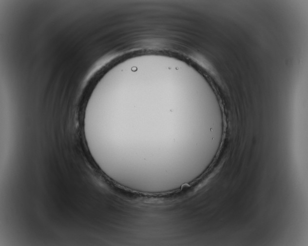 X0000086071070200704132035