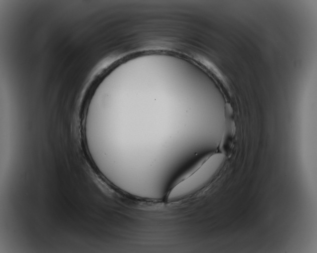 X0000086071072200704132035