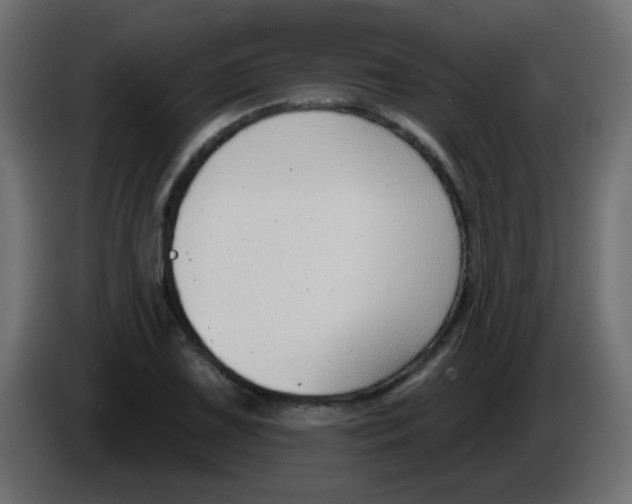 X0000086071075200704132035