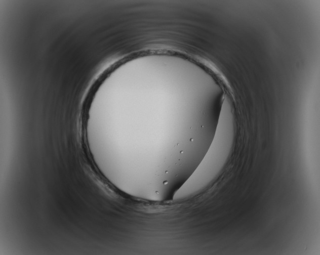 X0000086071076200704132035