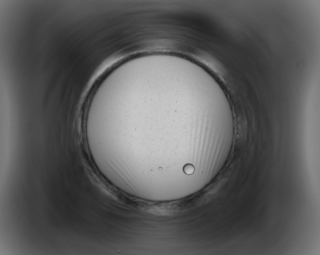 X0000086071078200704132035